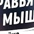 Урок муравья и горной мыши Ти Ди Джейкс Аудиопроповедь