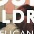 Cosmo Sheldrake Pelicans We Live In The Budapest Baths