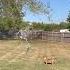 Dog Hilariously Barks At Dancing Skeleton In Backyard Dog Skeleton Funny Dogantics