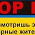 50 000 Стремянка палка и ведро Стояновская версия Рассмеши Комика новый сезон