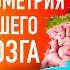 ЦЕНТР УПРАВЛЕНИЯ ЧЕЛОВЕКОМ И СКРЫТАЯ ГЕОМЕТРИЯ В ВАШЕМ МОЗГЕ Анна Мудра