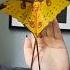 Huge And Beautiful Pikachu Looking Madagascar Moon Moth Yellow Butterfly