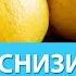 Как Снизить Высокий Сахар в Крови быстро и эффективно в домашних условиях продукты травы