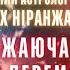 ТЕРМІНОВО Алакх Ніранжан розказав як Україні перемогти План перемоги Ведичний астролог