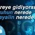 RM BTS Wild Flower With Youjeen Türkçe Çeviri