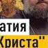 Собор славных и всехвальных 12 апостолов отец Андрей Ткачёв