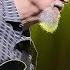 John Scofield Bag Jazz In Marciac 2016