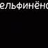 Дворовая песня Дельфинёнок