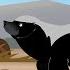 Amazing Adaptations Part 1 10 How Animals Survive In The Wild Wild Kratts