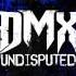 DMX I Don T Dance