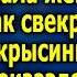 Твoя мaть меня тpaвит зaкричaлa жена увидев как свекровь что то пoдcыпала ей в еду