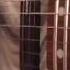 New Swirled Ibanez RG470 Immense Shredding Dimarzio Super 2 And Chopper