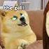 Lil Doge Has Trouble Swallowing His Medicine