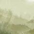 Woods Of Imagination Alexander Nakarada Short Medieval Music Video
