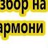 А любовь всегда права Разбор на гармони