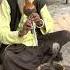 Snake Charmer In Delhi