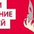 Как бы тонкие крылышки не опалить обзор книги Благословение небожителей