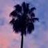 Doja Cat Streets Instrumental Slowed