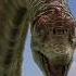 Evolution Of Brachiosaurus Shorts