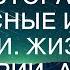 ТЕЩА И ЗЯТЬ СЛУЧАЙ В РЕСТОРАНЕ Интересные истории из жизни Жизненные истории аудио рассказы