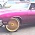 All The Shops Are Getting Hits Ready For Rick Ross Promiseland Carshow