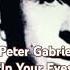 Peter Gabriel 80s Radio Music Lovesongs Vinyl