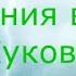 Конфликтные интертипные отношения между СЛЭ Жуков и ЭИИ Достоевский