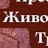 Акафист Пресвятой и Животворящей Троице