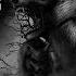Metalstep Gray Wolf The Enigma TNG