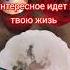 Новая жизнь начнётся через