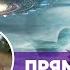 427 Прямой эфир Вопрос ответ с МидгасКаусом и ЛиШиони