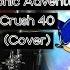 Live Learn Sonic Adventure 2 Crush 40 Cover