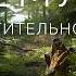 Земля Растительность Серия 3 5 Документальный фильм Би би си