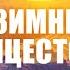 ЗИМНЕЕ СОЛНЦЕСТОЯНИЕ 21 12 Зеркальная дата История нумерология и ритуалы на Йоль