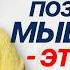 БОЛЬШОЙ ОБМАН психологов Почему позитивное мышление НЕ РАБОТАЕТ