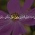 Omar Hisham Surah Baqarah 102