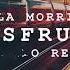 Carla Morrison Disfruto TENORIO Remix Lyric Video