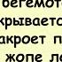 Про Зверей и про Людей Сборник хорроших анекдотов анекдоты юмор смех