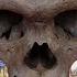 First Skull Of Mysterious Human Ancestor Discovered