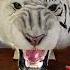 Painting A Snarling White Tiger Head