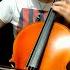 Berserk Blood And Guts Shiro Sagisu Cello Cover