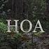 HOA