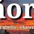 Camila Cabello And Shawn Mendes Señorita Lyrics