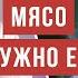 Вредно ли есть мясо рассказывает врач Ренат Хайров Аскеза в кедах