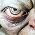 THE LORD OF THE RINGS GOLLUM Прохождение 1 ᐅ Властелин Колец Голлум