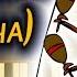 La Cucaracha Кукарача Piano Tutorial Synthesia