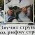 Курской район
