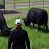 Farming Simulator 25 Episode 3 Building A Livestock Empire