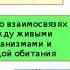 Естествознание как наука