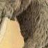Ice Age Theme Music V2